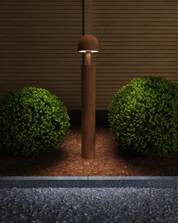 Plant – Image 3